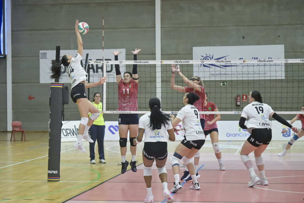 251122 Heidelberg Haro 26 Imges20251122084802