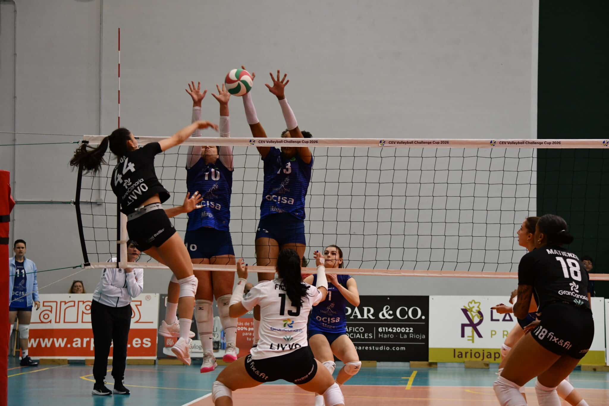 Hrv Vs Heidelberg 2026 (7)