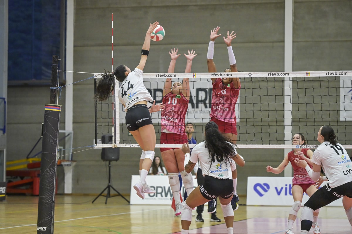 260327 Heidelberg Haro 090